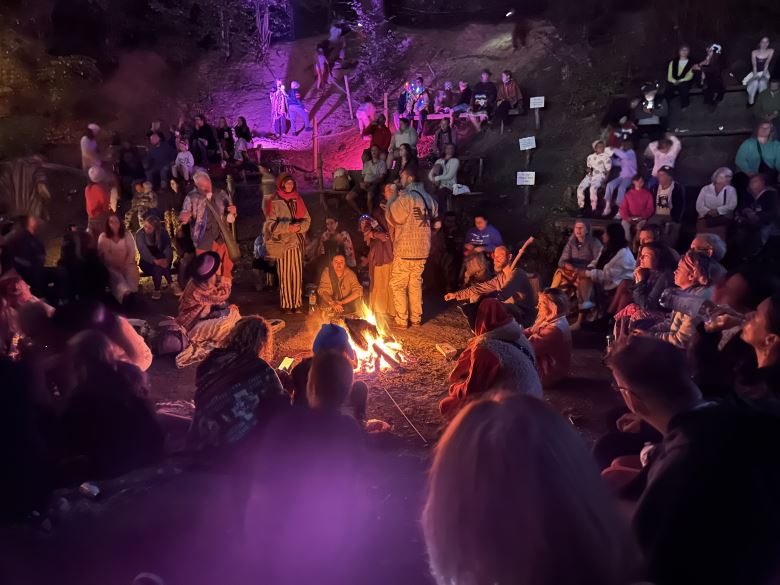 into the wilde fire camp